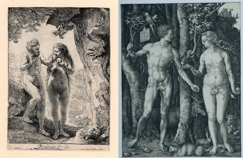 Rembrandt, De zondeval van Adam en Eva, 1638 (Museum Het Rembrandthuis, Amsterdam) en Albrecht Dürer, Adam en Eva, 1504 (Rijksmuseum, Amsterdam). 