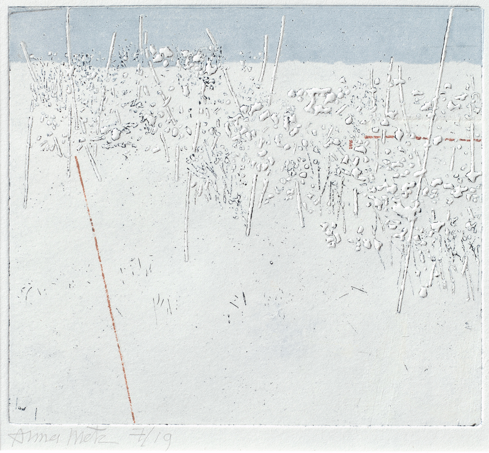 Anna Metz, Het hek, ets, driekleurendruk, 127 x 143 mm, bezit van de kunstenaar.