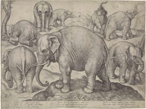 Gerard van Groeningen, Commemorative Print of the Asian Elephant Emanuel, in Eight Different Poses, 1563 or shortly thereafter. Etching