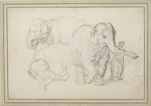 Rembrandt, Asian Elephant (Hansken) in Three Different Poses, 1641