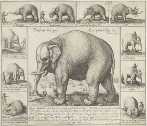 Wenceslaus Hollar (after Gerard van Groeningen), Commemorative Print of the Asian Elephant Don Diego, 1629.