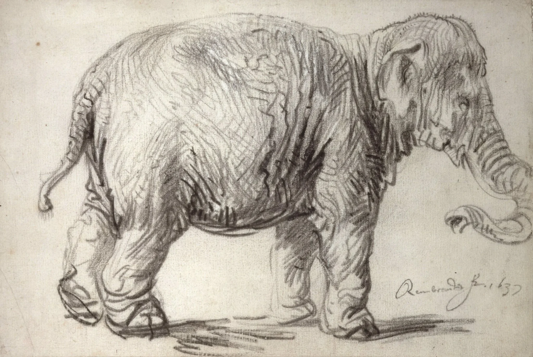 rembrandt-hansken-1637-wenen-albertina-kopie-2-scaled
