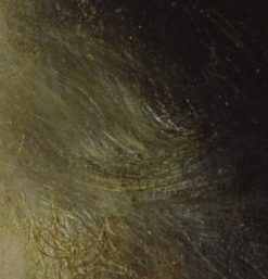 detail of fig. 4: hair.