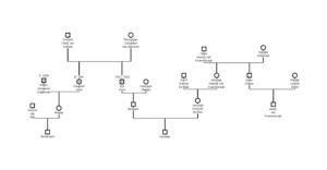 Family tree: relationship of Rembrandt, Nicolaes Vinck and Jacob van Swanenburgh