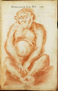 Unknown artist, Portrait of a chimpanzee, 1650 or later. Red chalk, in: N. Tulp, Observationum Medicarum, p. 275, copy of Hugh Sinclair. Vancouver, UBC Library